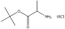 Clorhidrato de Tert-Butyl L-Alaninate CAS. 13404-22-3 Polvo blanco a casi blanco Pureza 98% Punto de fusión 168-175 °C